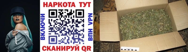 Где продают наркотики Ишим A PVP  Псилоцибиновые грибы  ГАШИШ  Мефедрон 