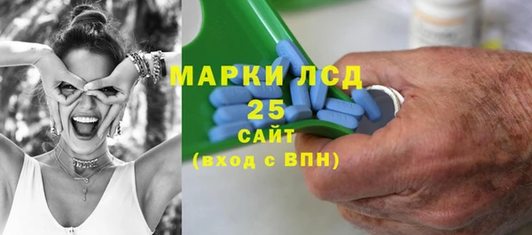 PSILOCYBIN Верхний Тагил