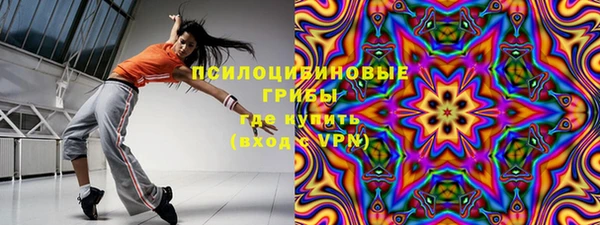 PSILOCYBIN Верхний Тагил