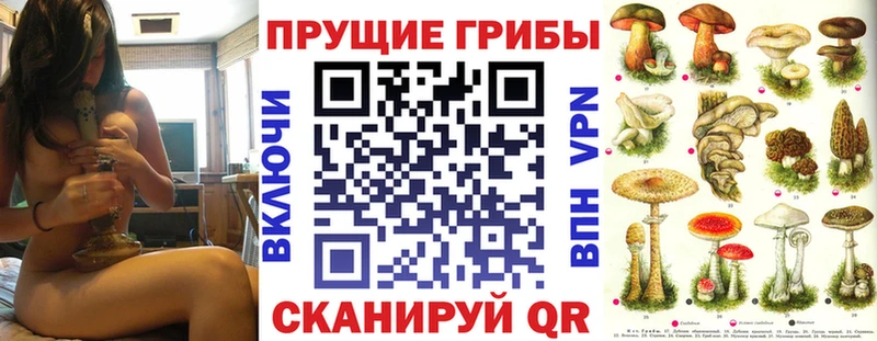 omg ССЫЛКА  Ишим  Псилоцибиновые грибы Magic Shrooms 